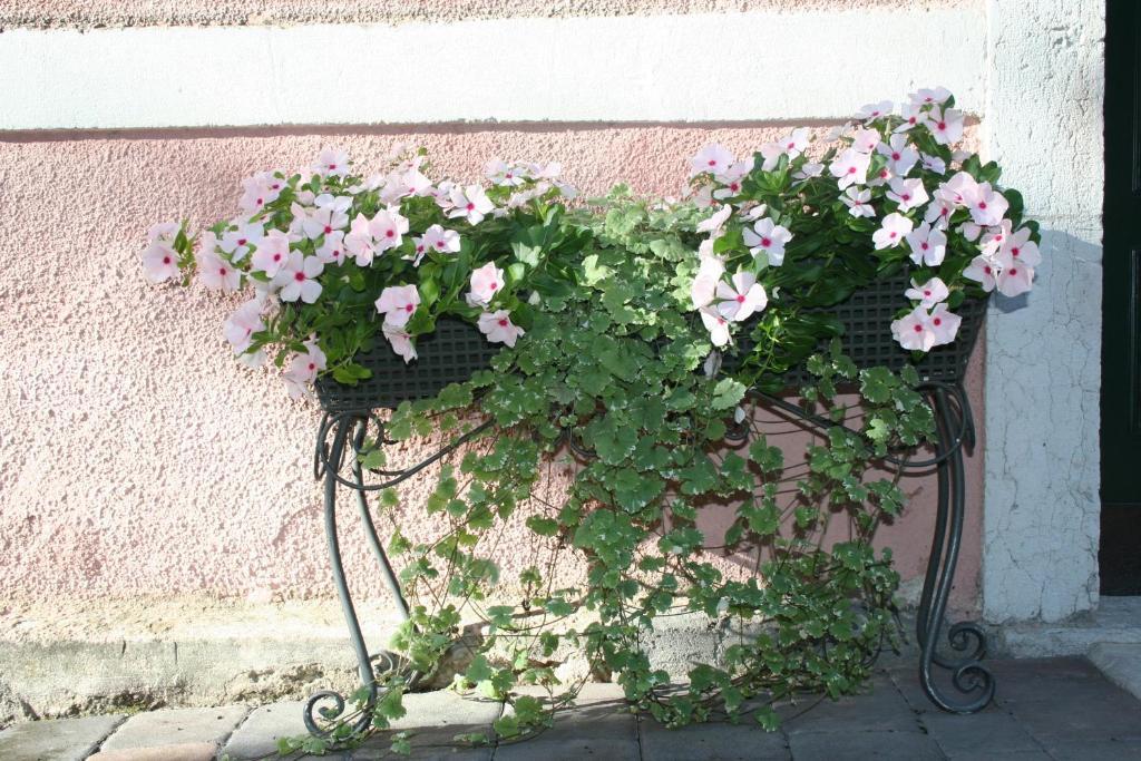 Albergo Garni Villa Moretti Riva del Garda Exterior foto